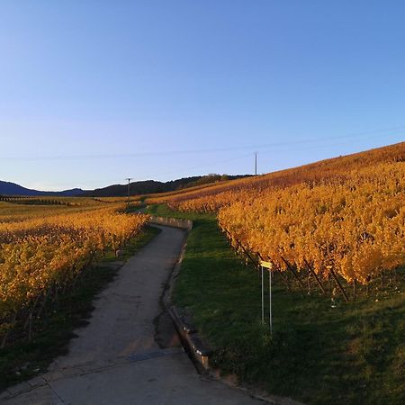 L'Altenberg Bergheim Dış mekan fotoğraf