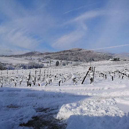 L'Altenberg Bergheim Dış mekan fotoğraf