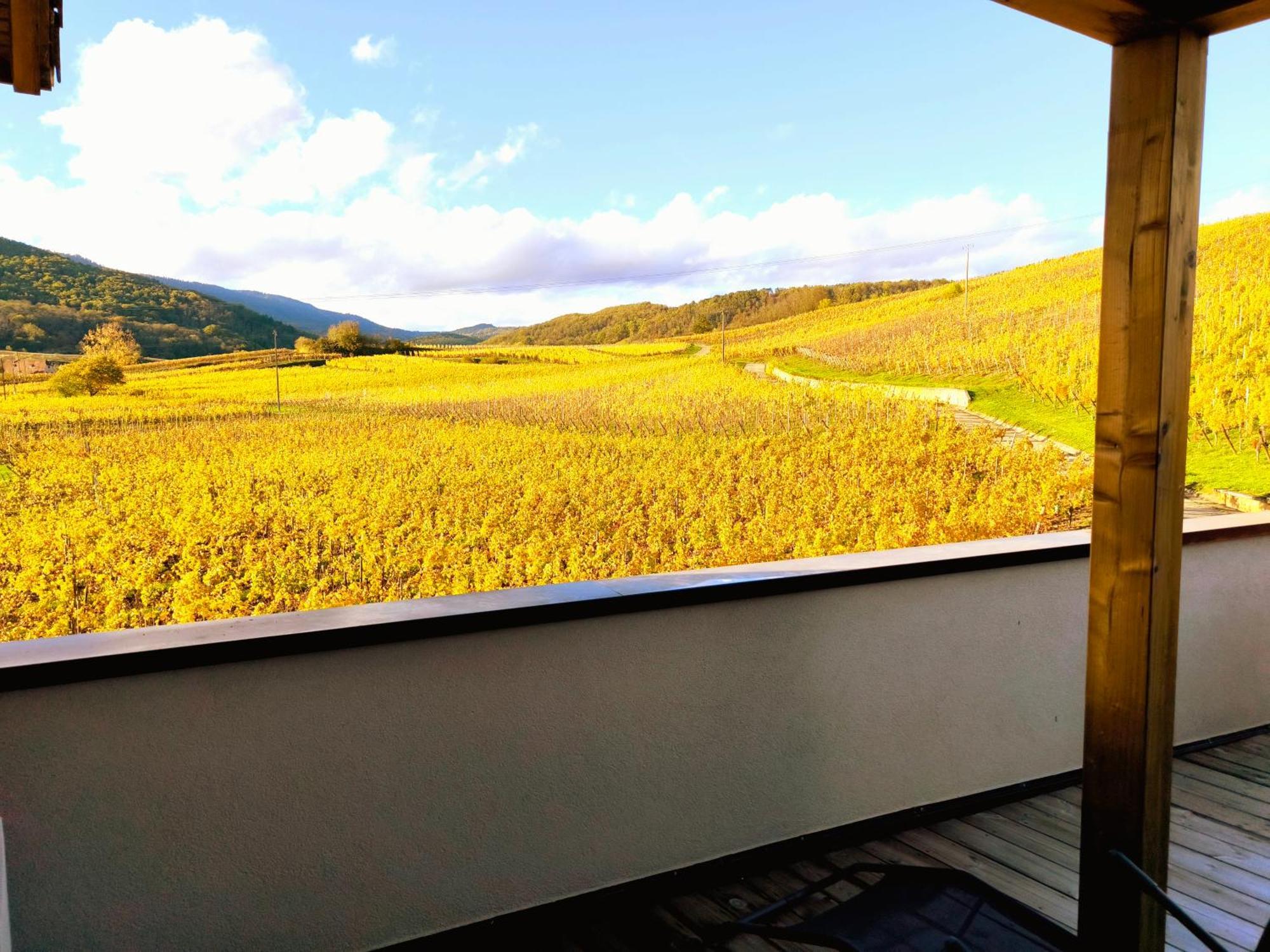 L'Altenberg Bergheim Dış mekan fotoğraf