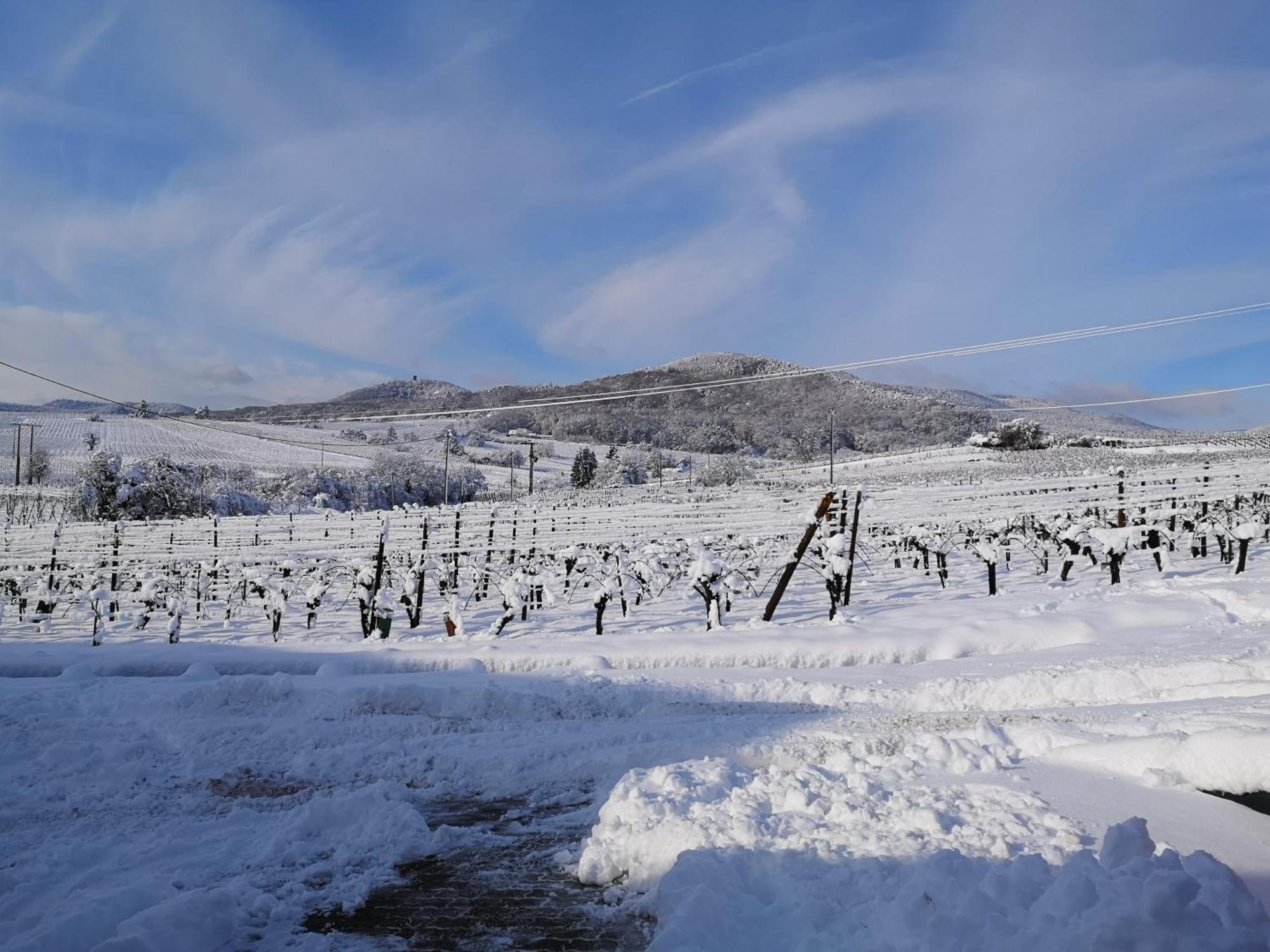 L'Altenberg Bergheim Dış mekan fotoğraf